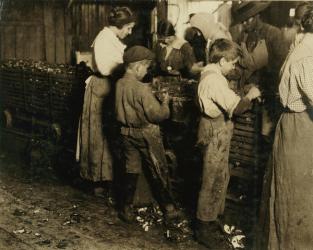 10 year old Jimmie who has been shucking 3 years (6 pots a day) with an 11 year old boy who shucks 7 pots at Varn & Platt Canning Co., Bluffton, South Carolina, 1913 (b/w photo) | Obraz na stenu