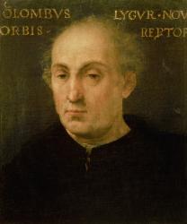 Portrait of Christopher Columbus (1451-1506) (oil on panel) | Obraz na stenu