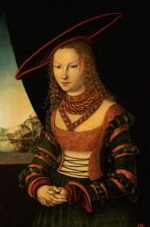 Portrait of a Woman, 1526 (oil on panel) | Obraz na stenu