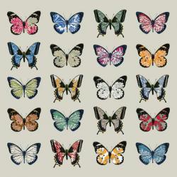 Papillon, 2008 (digital) | Obraz na stenu