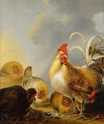 A Group of Farmyard Fowl, 1643 (oil on canvas) | Obraz na stenu