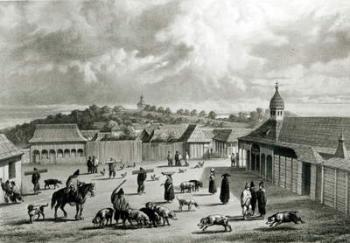 Plaza de San-Carlos de Chiloe, 1835 (litho) (b/w photo)] | Obraz na stenu