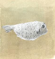 Box Fish, Sri Lanka, 2015 (w/c on paper) | Obraz na stenu