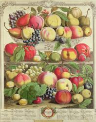 September, from 'Twelve Months of Fruits', by Robert Furber (c.1674-1756) engraved by Henry Fletcher, 1732 (colour engraving) | Obraz na stenu