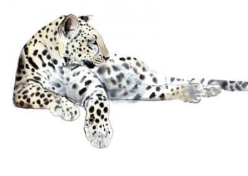 Long (Arabian Leopard), 2015, (watercolour and gouache on paper) | Obraz na stenu