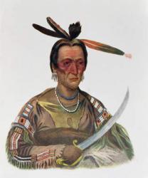To-Ka-Cou, a Yankton Sioux Chief, 1837, illustration from 'The Indian Tribes of North America, Vol.1', by Thomas L. McKenney and James Hall, pub. by John Grant (colour litho) | Obraz na stenu
