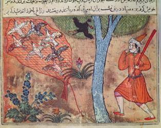 Hunting Birds, from 'The Book of Kalila and Dimna', from 'The Fables of Bidpay' (vellum) | Obraz na stenu