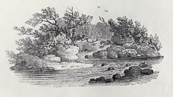 A Bend in the River from 'History of British Birds, Volume 2: Water Birds', 1804 (woodcut) | Obraz na stenu