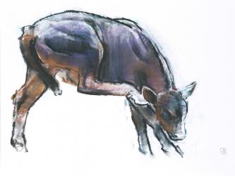 Scratching Calf, 2006 (charcoal & conte on paper) | Obraz na stenu
