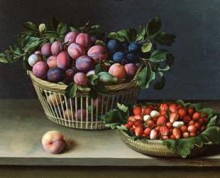 Basket of Plums and Basket of Strawberries, 1632 (oil on panel) | Obraz na stenu