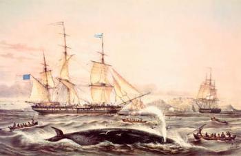 Whaling off the Cape of Good Hope (colour litho) | Obraz na stenu