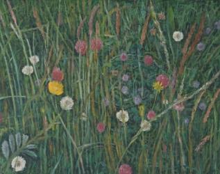 Plants of the Machair, 2008 (oil on canvas) | Obraz na stenu