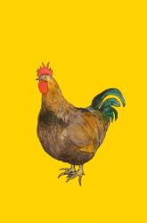 Cockerel | Obraz na stenu