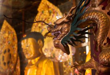Hong Kong, China. Buddha and dragon at Ten Thousand Buddhas Monastery at Pai Tau Tsuen, Sha Tin in the New Territories. | Obraz na stenu