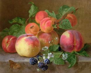 Still Life of Peaches | Obraz na stenu