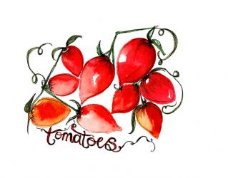 Vine Tomatoes, Food Illustration Series, 2017, (watercolour) | Obraz na stenu