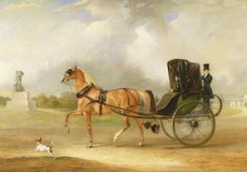 William Massey-Stanley Driving his Cabriolet in Hyde Park, 1833 (oil on canvas) | Obraz na stenu