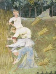 Harvesting wheat, detail (fresco) | Obraz na stenu