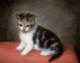 Miss Ann White's Kitten, 1790 | Obraz na stenu
