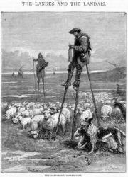 The Shepherd's Dinner-time, engraved by Charles Butterworth (engraving) | Obraz na stenu