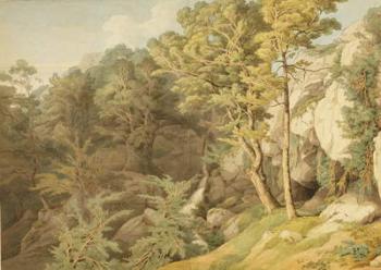 Canonteign, Devon, 1804 (pen & ink and w/c on paper) | Obraz na stenu