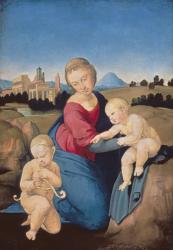 The Esterhazy Madonna, c.1507-08 (tempera & oil on poplar panel) | Obraz na stenu