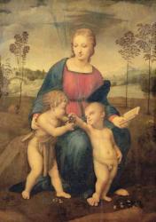 Madonna of the Goldfinch, c.1506 (oil on panel) | Obraz na stenu
