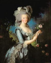 Marie Antoinette (1755-93) with a Rose, 1783 (oil on canvas) | Obraz na stenu
