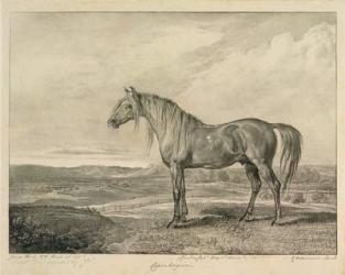 Copenhagen, from 'Celebrated Horses', a set of fourteen racing prints published by the artist, 1823-24 (litho) | Obraz na stenu