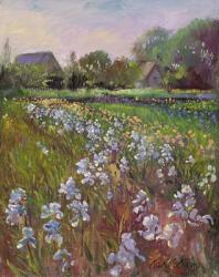 White Irises and Farmstead | Obraz na stenu