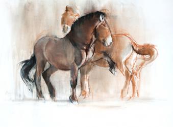 Two (Przewalski), 2013, (pastel and charcoal on paper) | Obraz na stenu