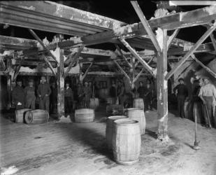 Del Ray Salt Co., c.1900-20 (b/w photo) | Obraz na stenu