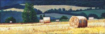 Haybales on hillside, 2012, (oil on canvas) | Obraz na stenu