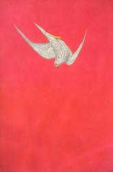 Pink Swoop; Gyr Falcon | Obraz na stenu