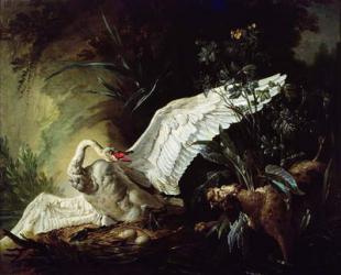 A Water Spaniel Attacking a Swan on its Nest, 1740 (oil on canvas) | Obraz na stenu