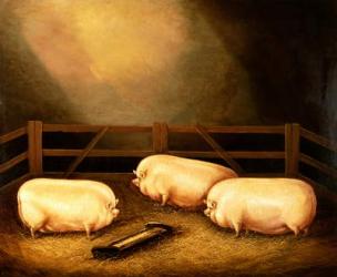 Three Prize Pigs outside a Sty | Obraz na stenu