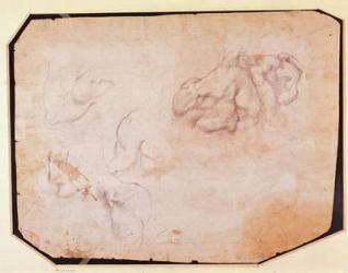 Study of Muscles (pencil on paper) (verso) (for recto see 191769) | Obraz na stenu