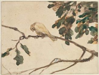 Canary on an Oak Tree Branch (w/c on paper) | Obraz na stenu