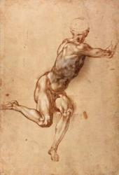A seated male nude twisting around, c.1505 (pen & ink with wash on paper) | Obraz na stenu