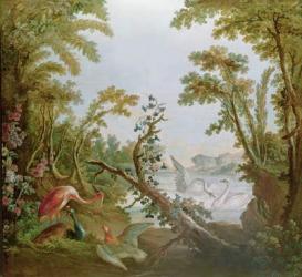 Lake with swans, a flamingo and various birds, from the salon of Gilles Demarteau, c.1750-65 (oil on canvas) | Obraz na stenu