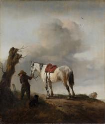 The Grey Horse, c.1646 (oil on panel) | Obraz na stenu