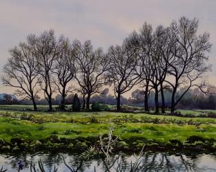 Winter Trees (watercolour on paper) | Obraz na stenu