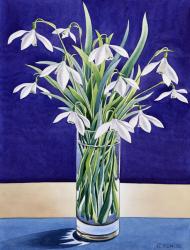 Snowdrops (watercolour on paper) | Obraz na stenu