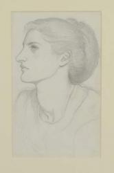 Woman's Head, 1865-70 (pencil on paper) | Obraz na stenu