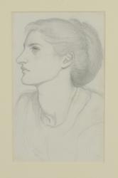 Woman's Head, 1865-70 (pencil on paper) | Obraz na stenu