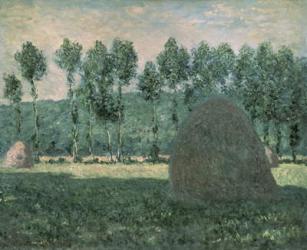 Haystacks near Giverny, c.1884-89 (oil on canvas) | Obraz na stenu