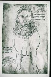 Ms Fr 19093 fol.24v Lion and Porcupine (pen & ink on paper) (facsimile) | Obraz na stenu
