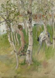 Nude Boy among Birches, 1898 (w/c on paper) | Obraz na stenu