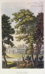 Woburn Abbey, from Ackermann's 'Repository of Arts', 1828 (colour litho) | Obraz na stenu