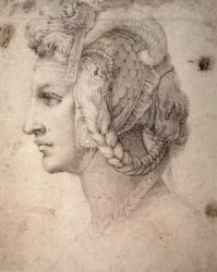 Study of Head (pencil on paper) | Obraz na stenu